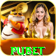 pubet - Ultimate v4.1.7
